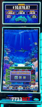 APP oficial da 7733bet para mobile